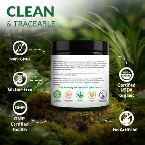 Organic Wheat Grass Juice Powder – Utah Grown, Nutrient-Rich Superfood